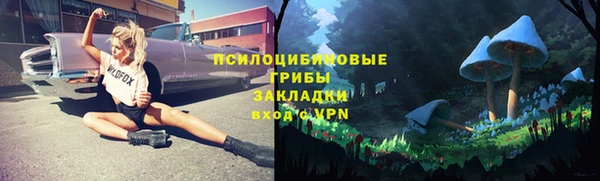 соль ск Алексин