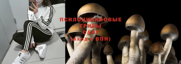 кокс Алзамай