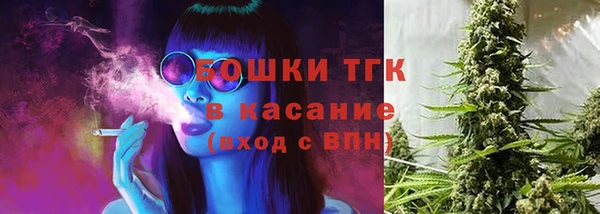 индика Аркадак